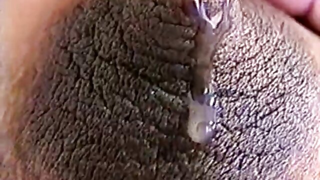 夏の楽園ぬいぐるみディルド！ 無料 女性 用 アダルト ビデオ